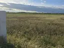 dazu-dzialak-budowlana-blisko-narwi-eb422c-zdjecie-3