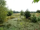 dazu-dzialka-z-wz-w-wyjatkowo-atrakcyjnej-lokalizacji-7a33c0-zdjecie-7