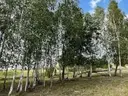 dazu-dzialka-budowlana-1425-m2-rafalowka-443baf-zdjecie-7