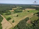 dazu-dzialka-na-terenach-lesnychblisko-jeziorakapital-81d598-zdjecie-3