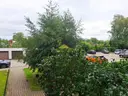 dazu-2-pokoje-wysoki-parter-z-balkonem-os-manhattan-987331-zdjecie-20