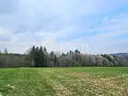 dazu-twoja-wlasna-czesc-natury-majatek-ktorego-nie-da-sie-dodrukowac-d0d0ad-zdjecie-4
