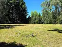 dazu-urocza-dzialka-w-kinicach-mpzp-dcbd4c-zdjecie-9