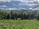 dazu-dzialka-z-zaplanowana-budowa-6b7510-zdjecie-2