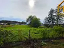dazu-dom-do-kapitalnego-remontu-10-min-od-tarnowa-ce7682-zdjecie-16