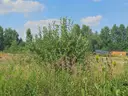 dazu-atrakcyjna-dzialka-wola-kopcowa-7b4ce0-zdjecie-2
