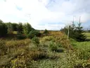 dazu-dzialka-z-wz-w-wyjatkowo-atrakcyjnej-lokalizacji-7a33c0-zdjecie-4