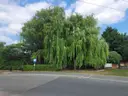 dazu-stary-dom-wyjatkowa-nieruchomosc-w-bielkowie-30a9ee-zdjecie-7
