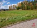 dazu-dzialka-siedliskowa-inwestycyjna-w-osinkach-5fe3dc-zdjecie-4