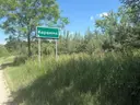 dazu-codzienny-zapach-lasu-za-oknem-moze-byc-twoj-eddc40-zdjecie-5