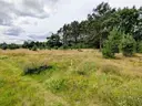 dazu-wymarzony-dom-w-naturze-dzialka-w-okazyjnej-ceni-1815c2-zdjecie-3