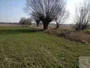 dazu-grunt-inwestycyjny-niepruszewo-produkcja-mpzp-f1f4ed-zdjecie-2