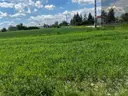dazu-duza-dzialka-54-ar-z-wz-na-dom-wierzchoslawice-gm-7766a1-zdjecie-4