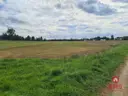 dazu-dzialka-w-otulinie-puszczy-knyszynskiej-z-wz-96bd27-zdjecie-2
