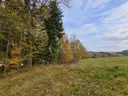 dazu-wyjatkowa-oferta-prywatny-las-81-arow-w-ostruszy-w-malopolsce-76e08b-zdjecie-7