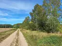dazu-dzialka-przy-lesie-26-arow-w-raclawiu-gmbogdaniec-b819a5