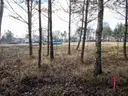 dazu-dzialka-budowlana-koszecin-1117m2-slowikow-8e3957-zdjecie-12