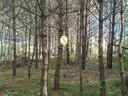 dazu-dzialka-przy-jagodowej-w-golubiu-na-kaszubach-454c10-zdjecie-2