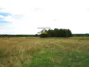 dazu-na-sprzedaz-duza-dzialka-w-rybakowie-b83cb6-zdjecie-11