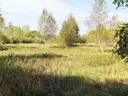 dazu-ciasne-dzialka-budowlana-5100-m2-d9ddc2-zdjecie-2