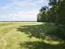 dazu-siedlisko-z-duza-dzialka-5986-m2-czyze-833453-zdjecie-13