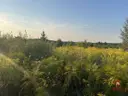 dazu-ziemia-pod-uprawy-blisko-hajnowki-c4ef79-zdjecie-3
