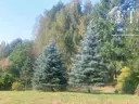 dazu-gorlice-dzialka-budowlana-24-a-1157s-c4b8f1-zdjecie-7