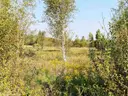 dazu-ciasne-dzialka-budowlana-5100-m2-d9ddc2-zdjecie-7