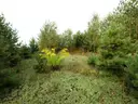dazu-dzialka-z-wz-w-wyjatkowo-atrakcyjnej-lokalizacji-7a33c0-zdjecie-8