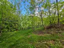 dazu-dzialka-budowlano-lesna-08445-ha-lekawka-gm-tarnow-d11a9b-zdjecie-15