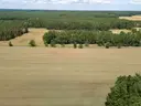 dazu-dzialka-budowlana-gaz-woda-kanalizacja-blisko-las-f346c4-zdjecie-26