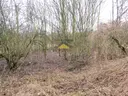 dazu-dziala-gorzowie-2512-m2-wieprzyce-b67f72-zdjecie-2