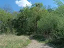 dazu-mieszkanie-z-balkonem-przy-parku-53ffeb-zdjecie-9