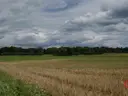 dazu-dzialka-w-otulinie-puszczy-knyszynskiej-z-wz-96bd27-zdjecie-4