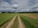 dazu-dzialka-w-otulinie-puszczy-knyszynskiej-z-wz-96bd27-zdjecie-3