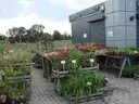 dazu-dzialka-uslugowa-ze-sklepem-71fa2d-zdjecie-6
