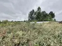 dazu-dzialki-budowlane-1000-m2-wz-projekt-domu-e11b90-zdjecie-9