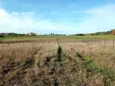 dazu-piekna-dzialka-300-m-od-jeziora-f7acd8