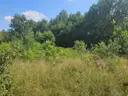 dazu-atrakcyjna-dzialka-wola-kopcowa-7b4ce0-zdjecie-6