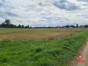 dazu-dzialka-w-otulinie-puszczy-knyszynskiej-z-wz-96bd27-zdjecie-2