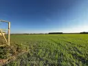 dazu-wz-woda-prad-gaz-kanalizacja-w-poblizu-7ad223-zdjecie-16
