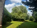 dazu-stary-dom-wyjatkowa-nieruchomosc-w-bielkowie-30a9ee-zdjecie-16