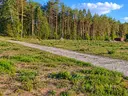 dazu-plac-4500-m2-przy-dk-8-8a77c7-zdjecie-9