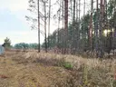 dazu-dzialka-8500-m2-jurowce-cc8fcc-zdjecie-4