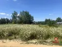 dazu-dzilaka-pod-zabudowe-bliznicza-a81eeb