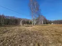 dazu-dzialka-siedliskowa-pomiedzy-lasami-c9cf3f-zdjecie-6