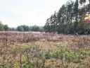 dazu-dzialka-8500-m2-jurowce-cc8fcc-zdjecie-5