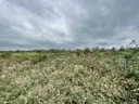 dazu-dzialki-budowlane-1000-m2-wz-projekt-domu-e11b90-zdjecie-15