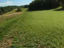 dazu-2-dzialki-147ha-lacznie-na-obrzezach-rzeszowa-93e0b2-zdjecie-7