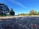 dazu-dzialka-do-wynajecia-w-swietnej-lokalizacji-e6daa9-zdjecie-4
